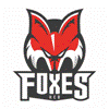 HC Bozen Foxes